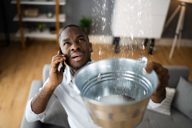 Best Professional water damage repair  in Winona, MN