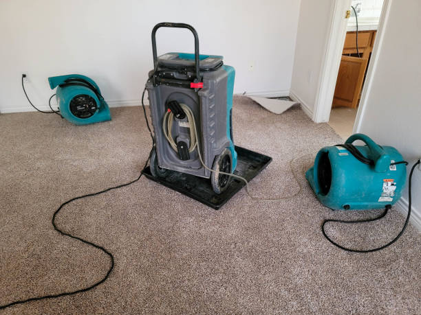 Best Commercial water damage restoration  in Winona, MN