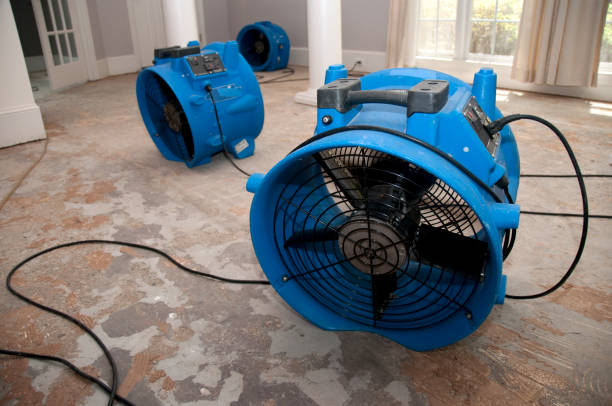 Best Water damage cleanup near me  in Winona, MN