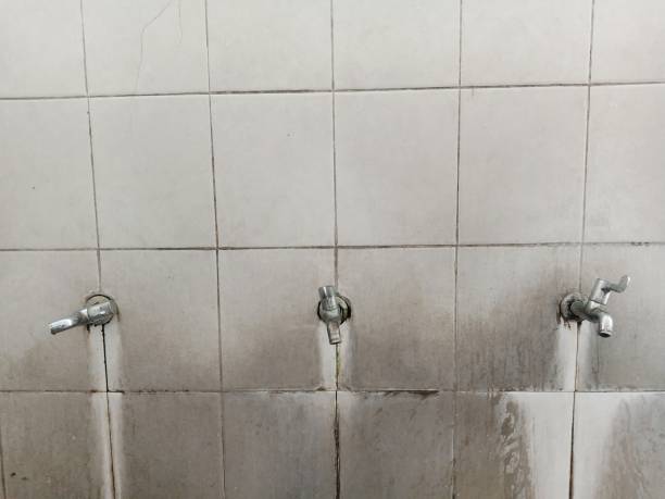 Best Water damage contractors near me  in Winona, MN