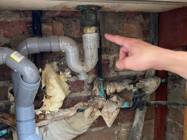 Best Sewage cleanup and water damage restoration  in Winona, MN