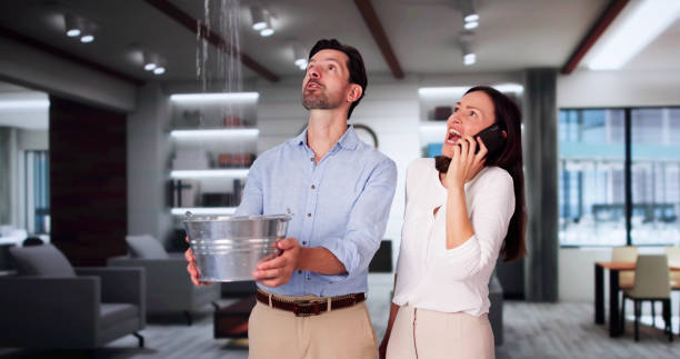 Best Flooded house restoration  in Winona, MN