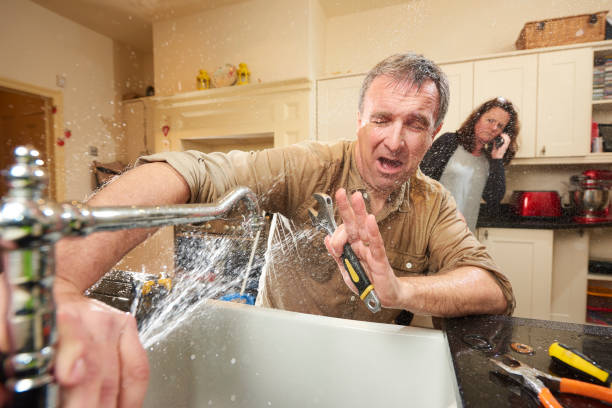 Best Flood damage cleanup  in Winona, MN